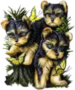 puppies