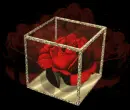 animad