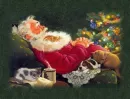 ssss.....Santa is sleeping