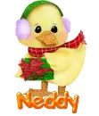 Neddy