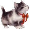 Christmas kitty