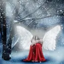 Frozen angel
