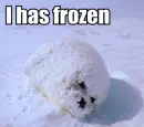 frozen
