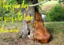 Have a better day
