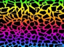 colors