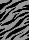 popo