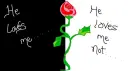 created by felicia plunkett 2008