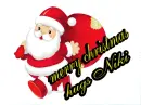 merry christmas niki