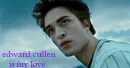 Twiliqht