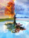 seasons change