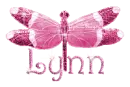 pink dragonfly lynn