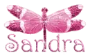 pink dragonfly sandra