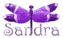 purple dragonfly sandra