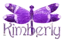 purple dragonfly kimberly