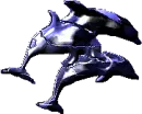 three dolphins
