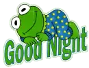 Night~Kermit