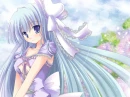 Lavender Beauty