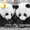 my panda
