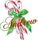 Andrew-candycanes