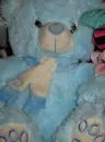cute blue bear