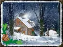 winter scene