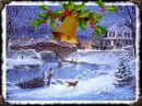 winter scene