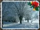 winter scene