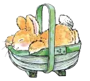 sleeping bunny