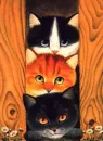 kittens