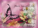 Flowers and Buttefly