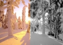 winter-zima