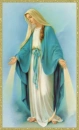 Mother Mary In Blue