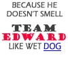 Team edward