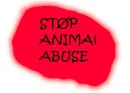 animal abuse