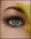 eye