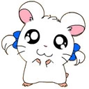 hamtaro