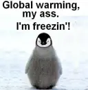 penguin