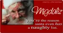 migdaliz christmas