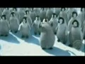 penguines