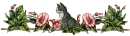 cat and flowers
