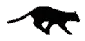cat running