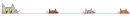catspeek