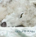 wolfs rain