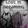 Lost In Dreaming