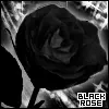 Black Rose