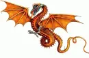 orangedragon