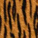 tigerskin-55