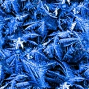 blue_5