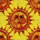 suncanvas
