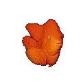 swimming fish